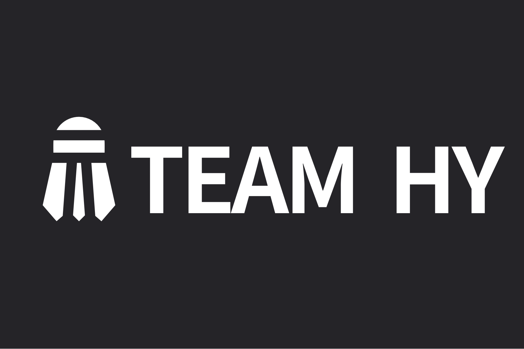 TEAM HY